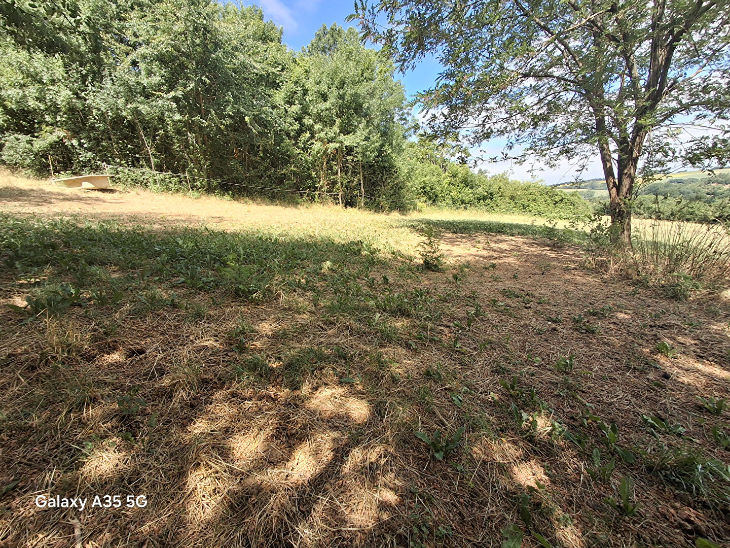 Terrain SEYSSES SAVES (32130) 838.00 m&sup2;