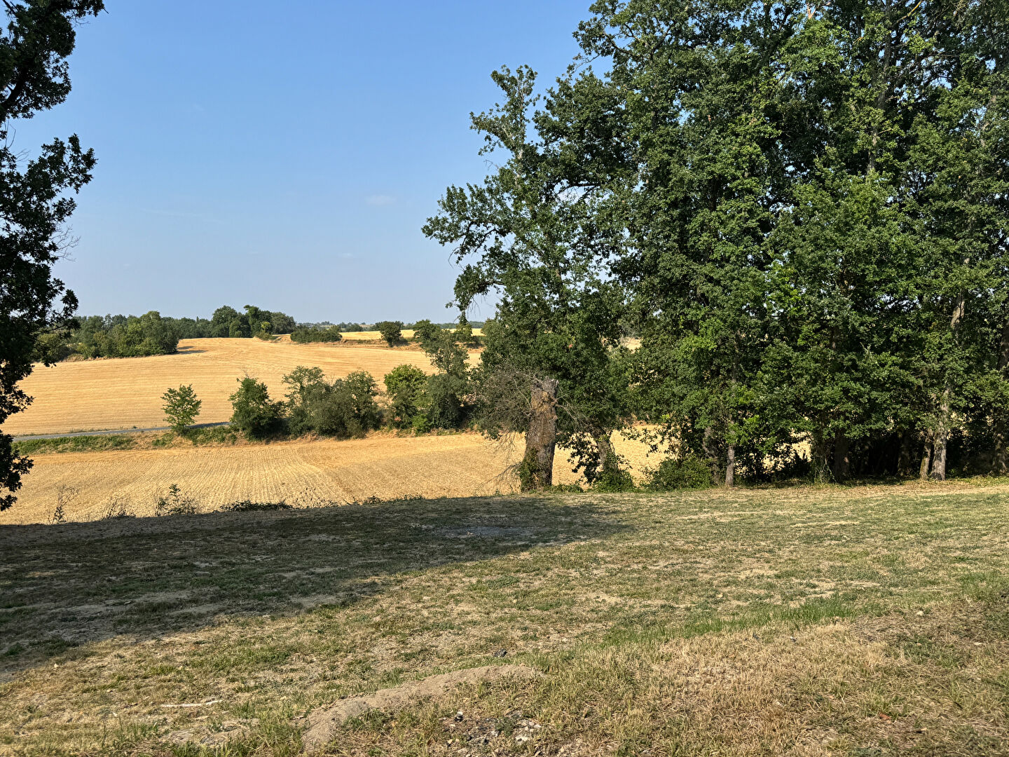 Terrain L ISLE JOURDAIN (32600) 1003.00 m&sup2;