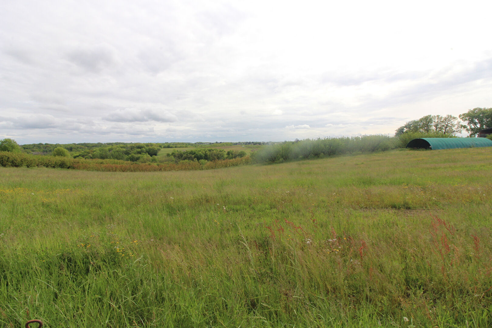 Terrain PUYCORNET (82220) 1429.00 m²