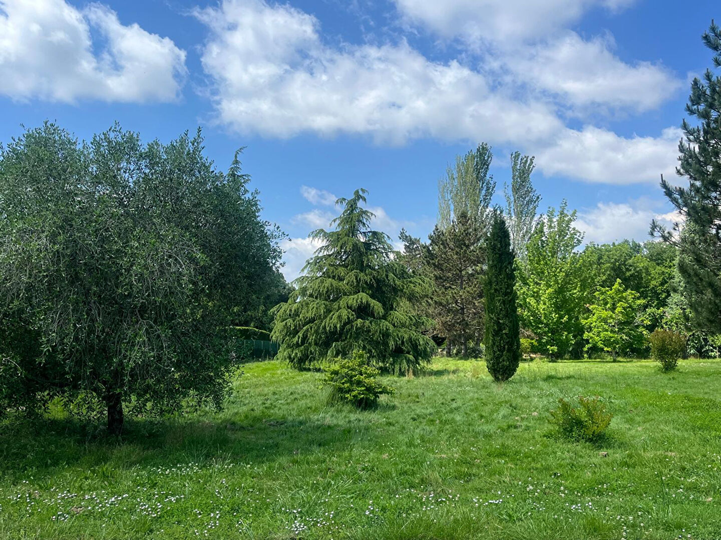 Terrain MONTAUBAN (82000) 1500.00 m&sup2;