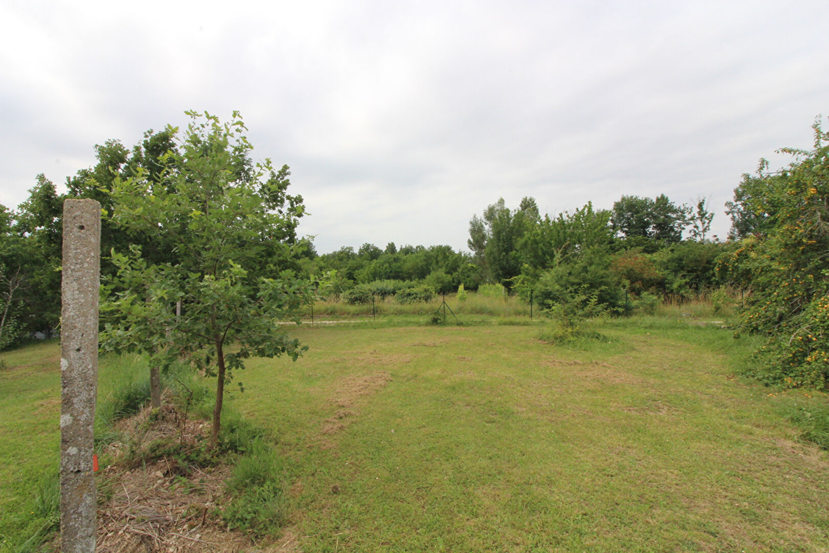 Terrain MONTAUBAN (82000) 1184.00 m²