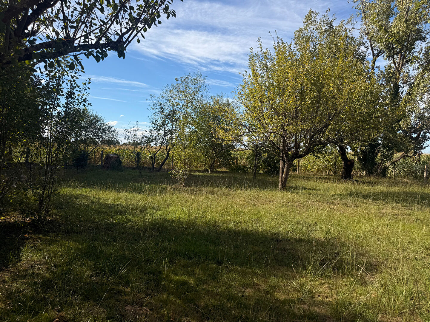 Terrain SAINT ETIENNE DE TULMONT (82410) 820.00 m²