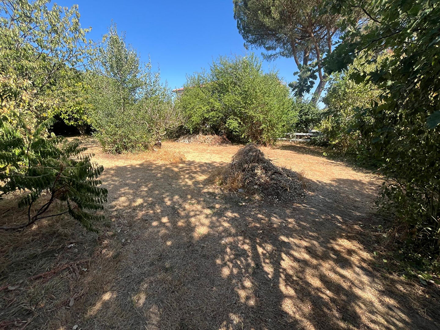 Terrain SAINT NAUPHARY (82370) 661.00 m&sup2;