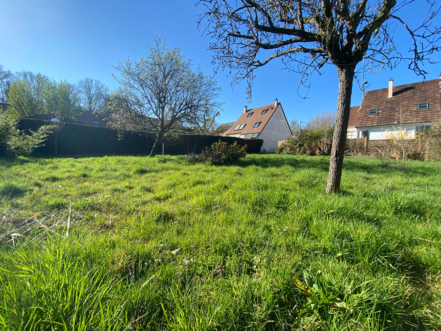 Terrain GOMETZ LE CHATEL (91940) 563.00 m²
