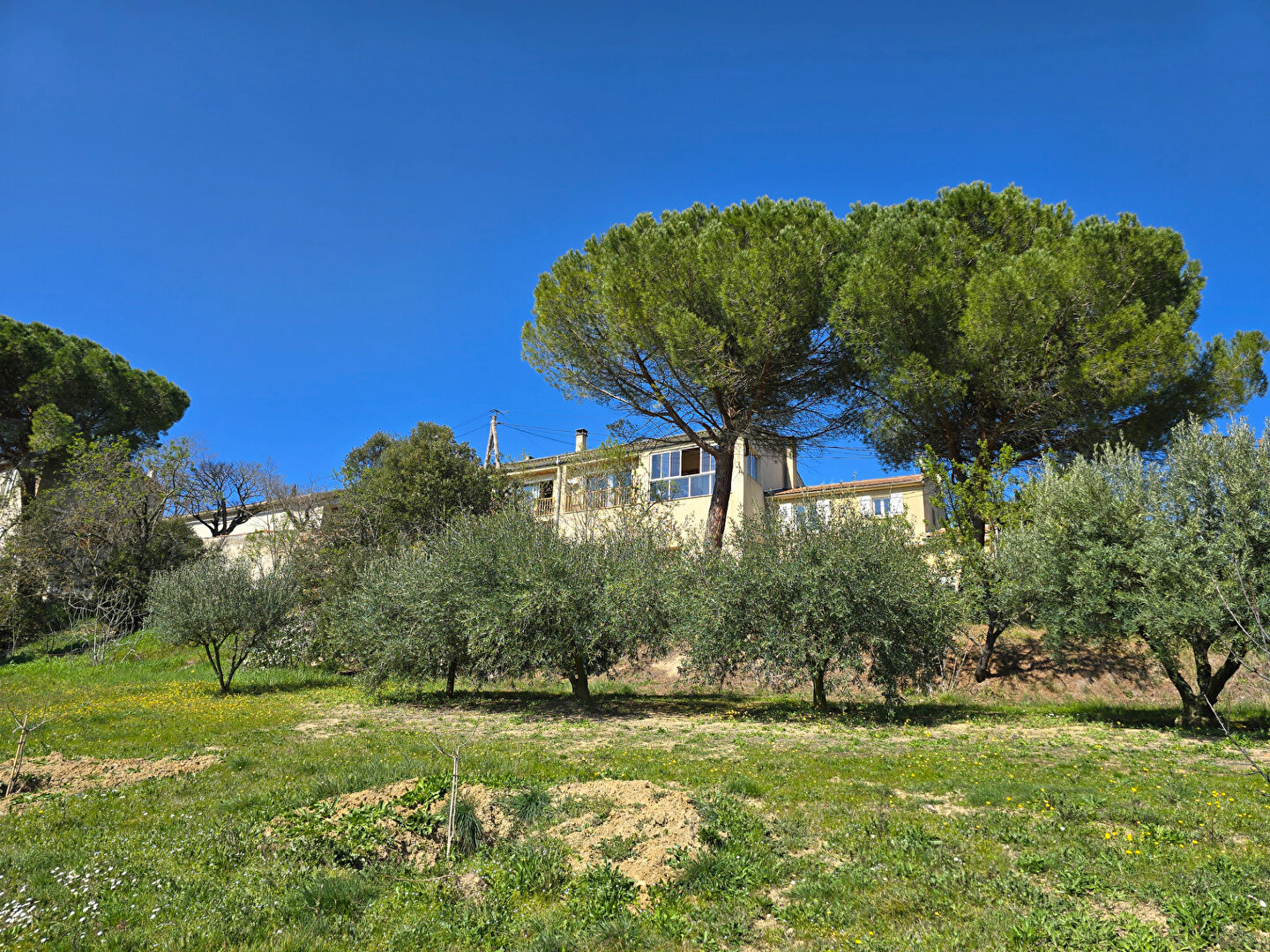 Maison PAULIGNE (11300) 3 pièces 114.66 m²