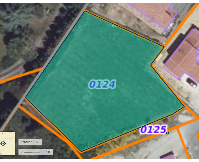 Terrain COURNANEL (11300) 1383.00 m&sup2;