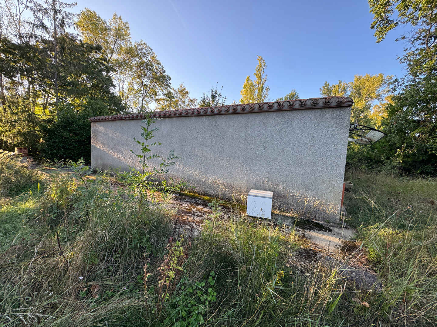 Terrain CASTELRENG (11300) 1 pièce 5085.00 m²