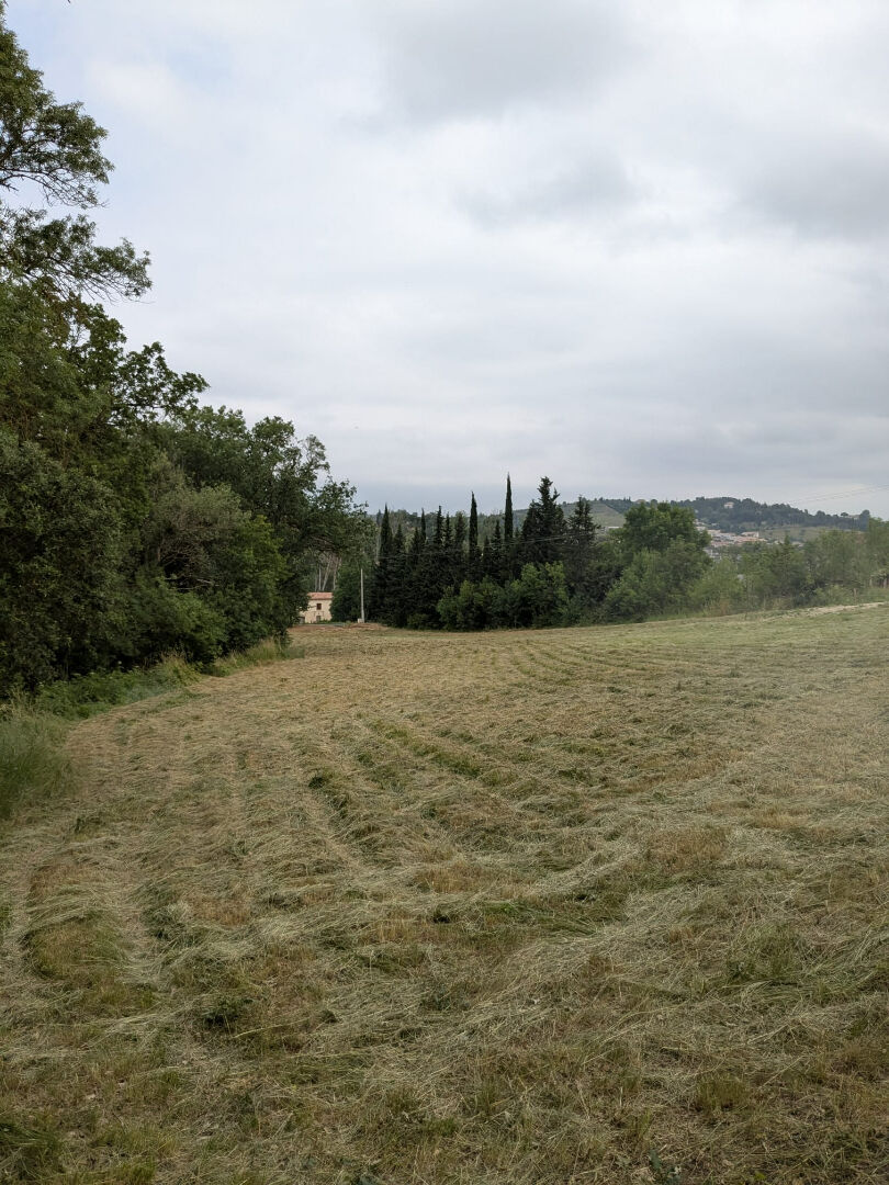 Terrain LIMOUX (11300) 4481.00 m&sup2;