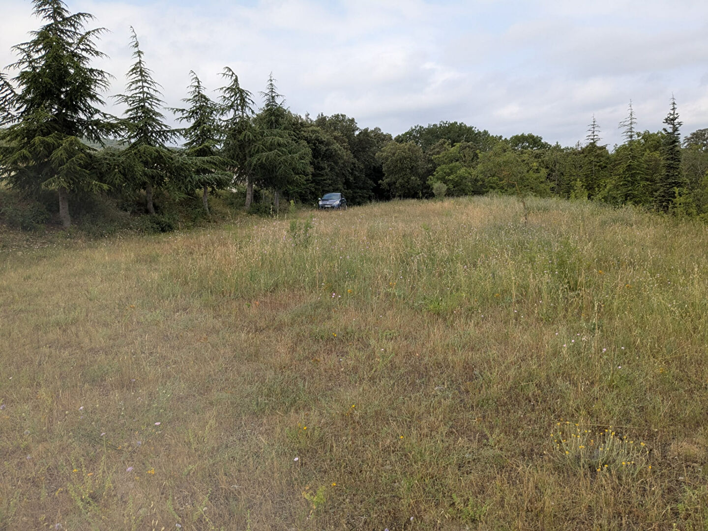 Terrain LIMOUX (11300) 9305.00 m&sup2;