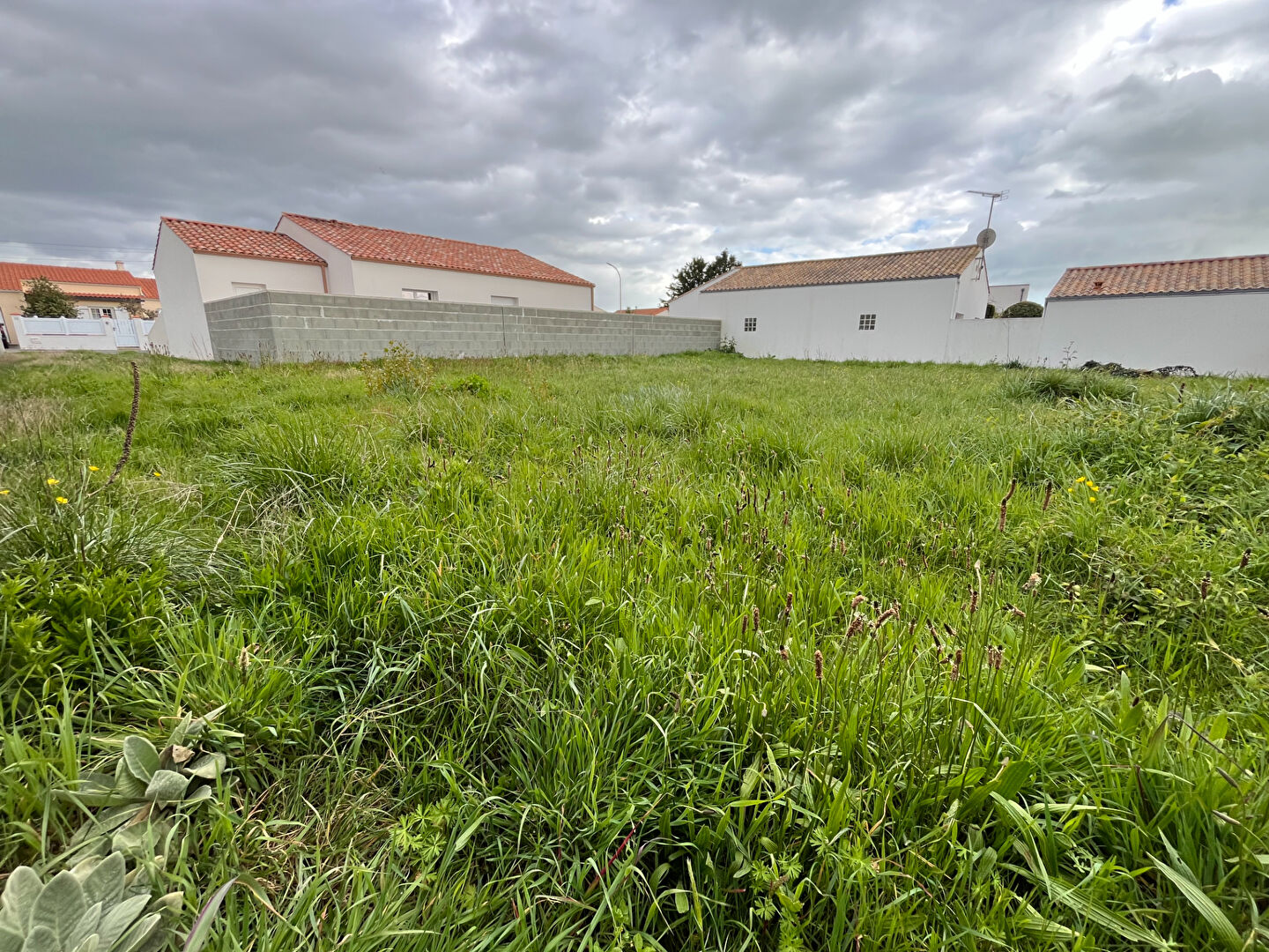 Terrain SAINT HILAIRE DE RIEZ (85270) 448.00 m&sup2;