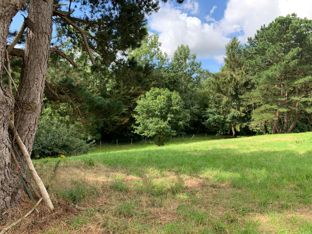 Terrain SAINT REVEREND (85220) 1066.00 m²