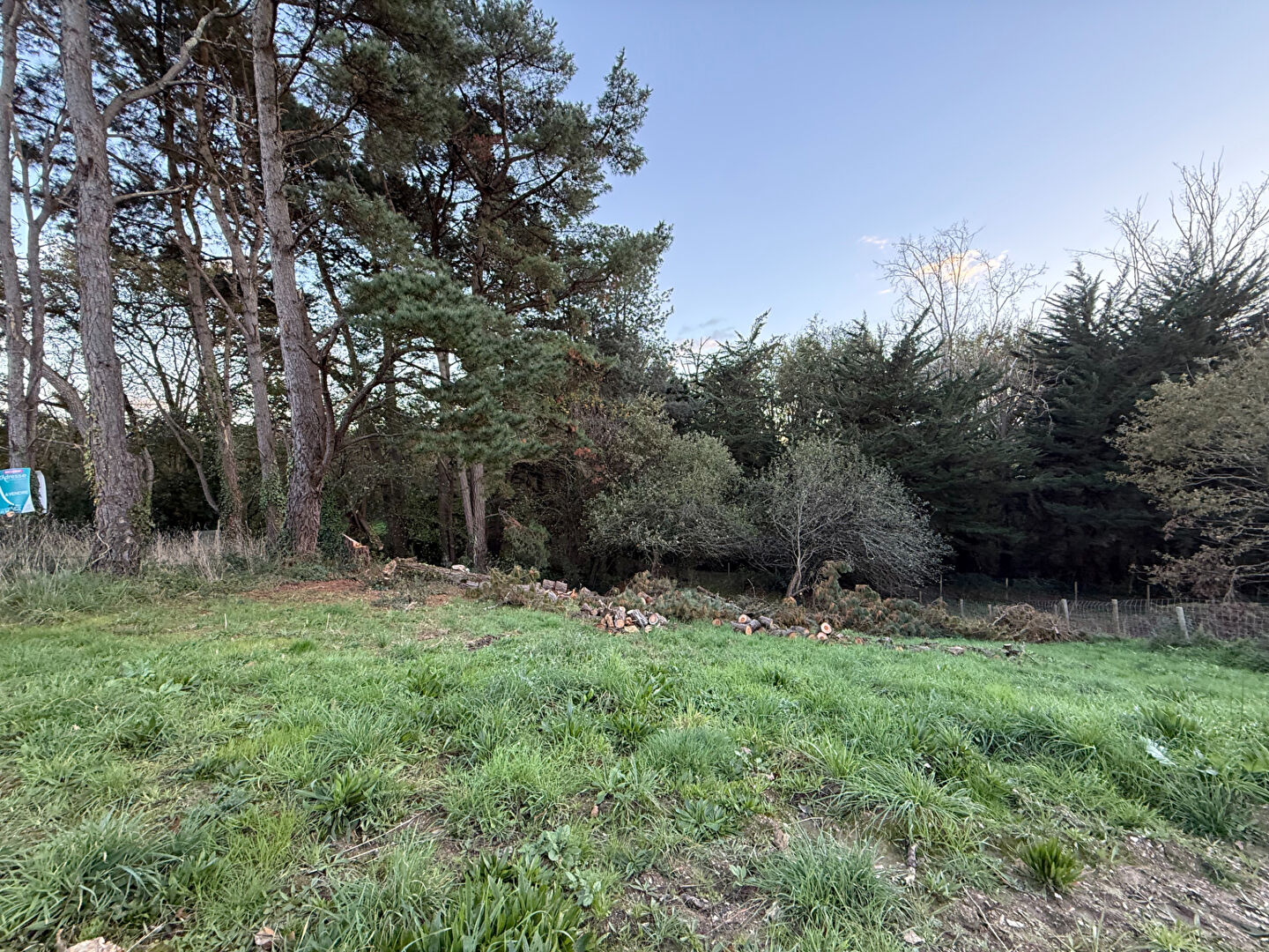 Terrain SAINT REVEREND (85220) 1066.00 m²