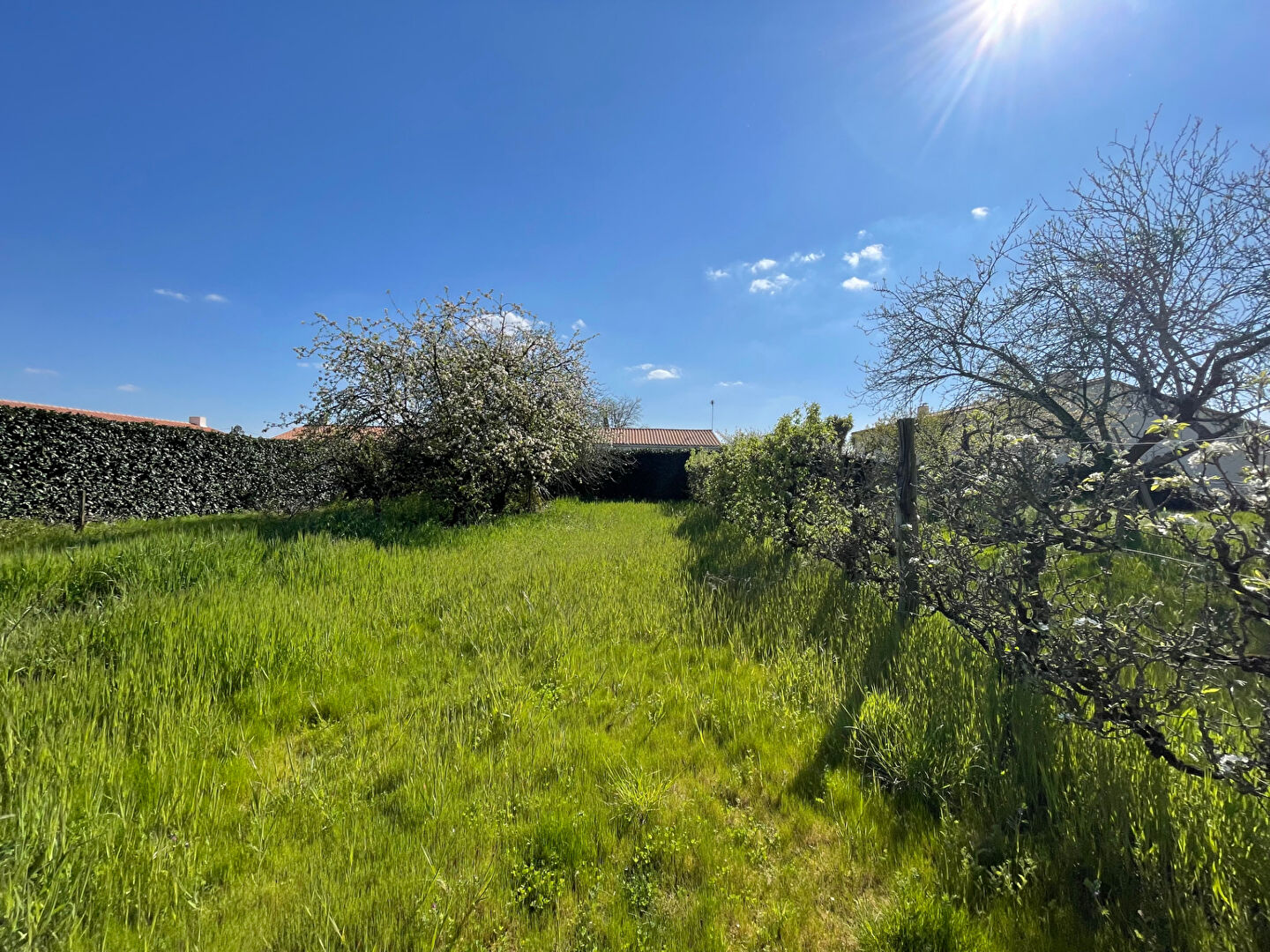 Terrain COMMEQUIERS (85220) 557.00 m²