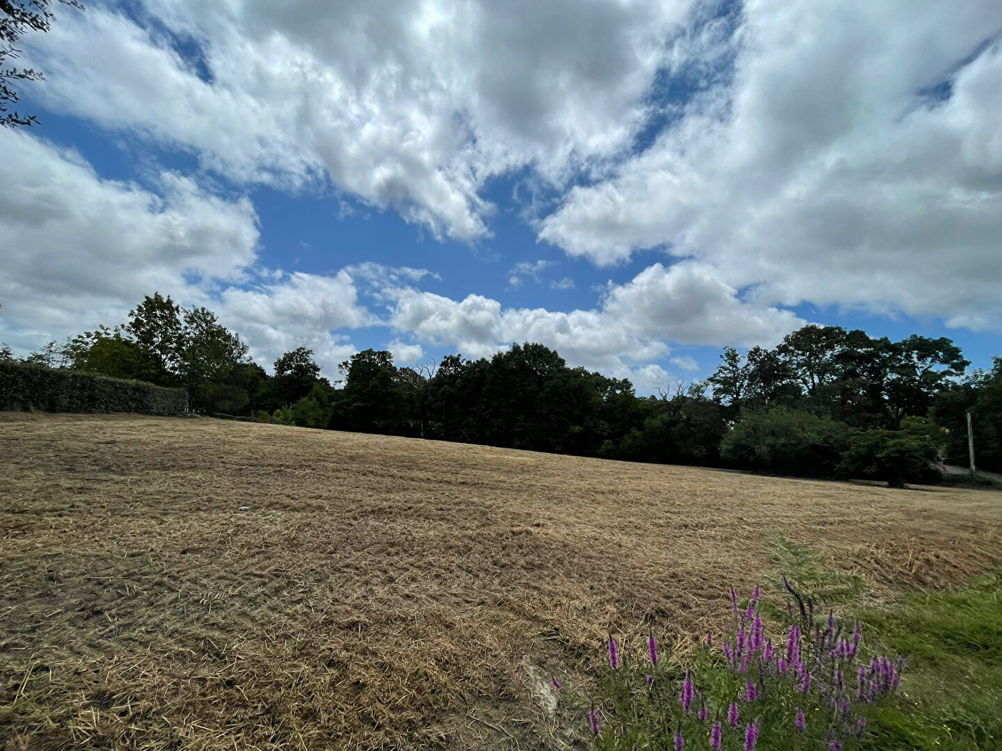 Terrain SAINT MAIXENT SUR VIE (85220) 838.00 m²