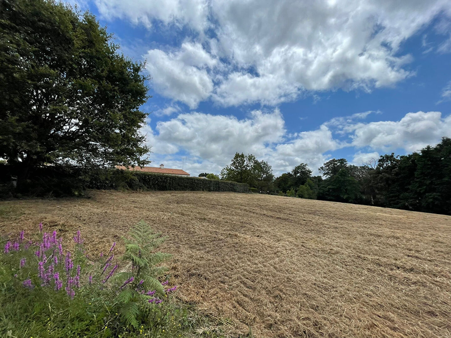 Terrain SAINT MAIXENT SUR VIE (85220) 700.00 m²