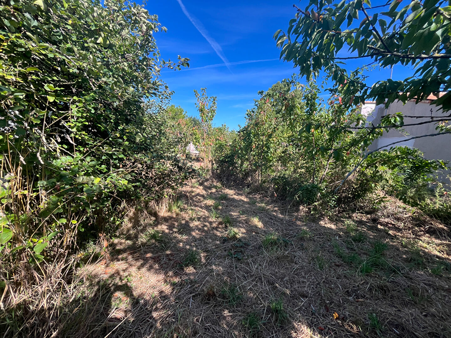 Terrain COEX (85220) 417.00 m²
