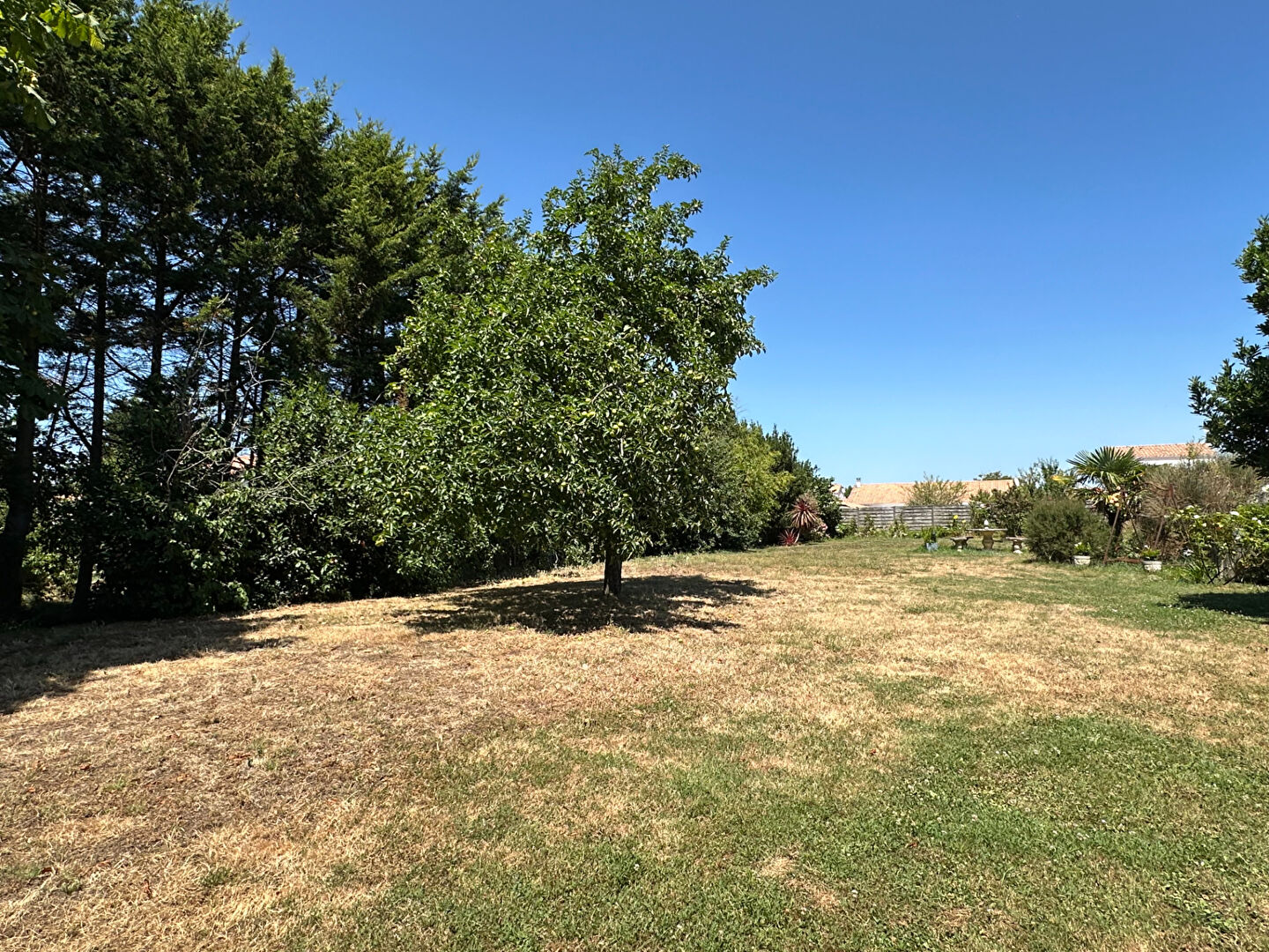 Terrain SAINT GILLES CROIX DE VIE (85800) 973.00 m²