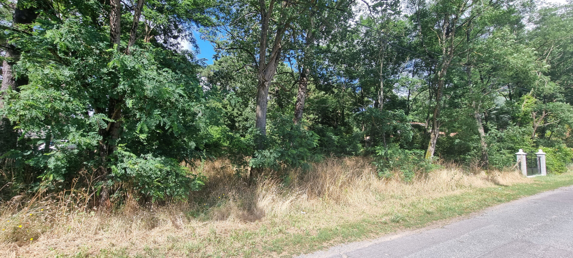 Terrain SAINT HILAIRE DE RIEZ (85270) 3463.00 m&sup2;