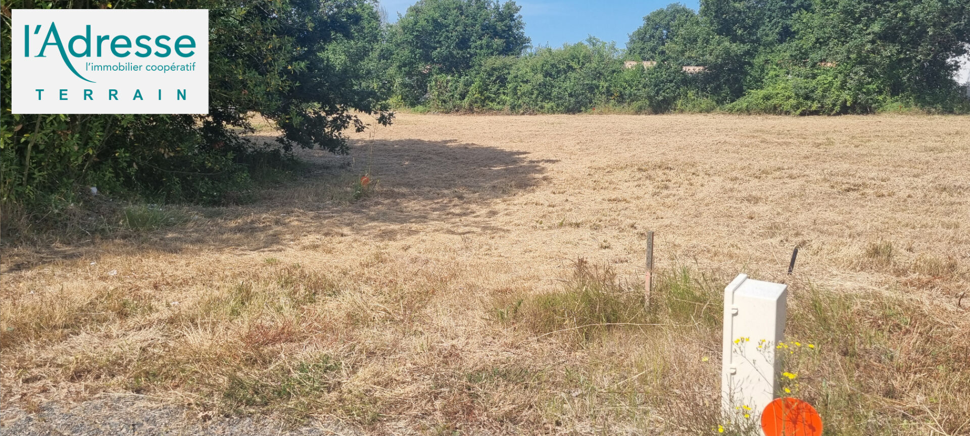 Terrain COMMEQUIERS (85220) 597.00 m²