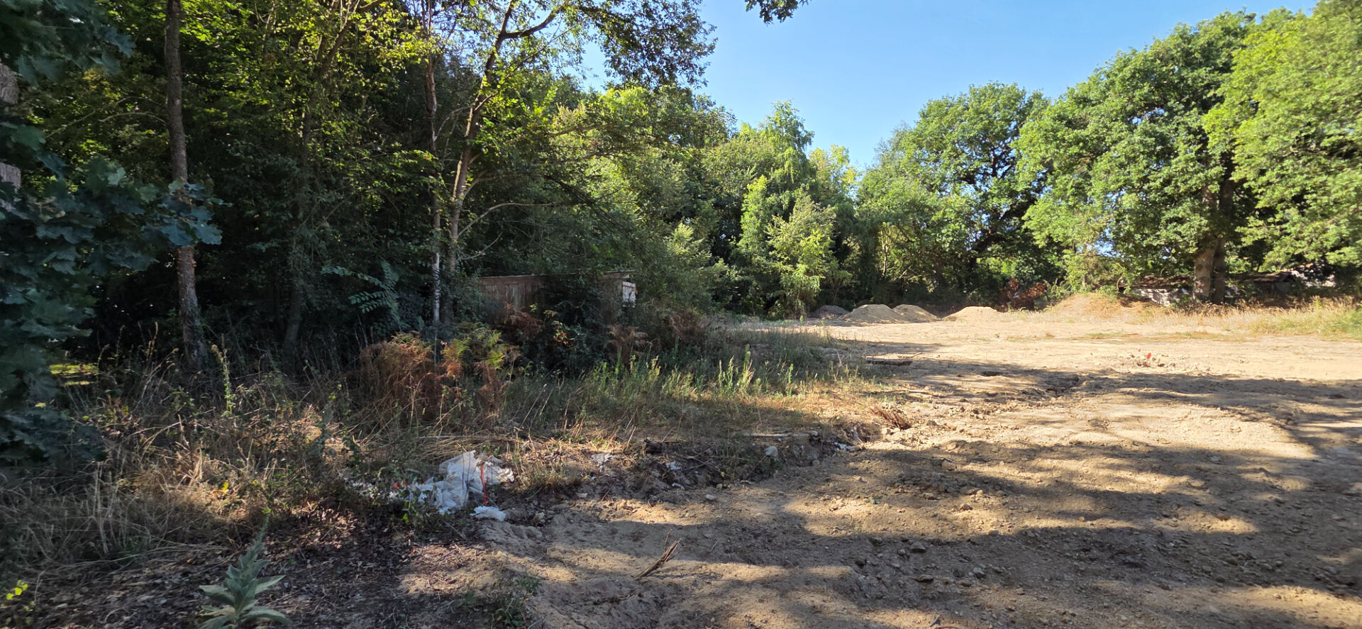 Terrain SAINT HILAIRE DE RIEZ (85270) 1453.00 m²