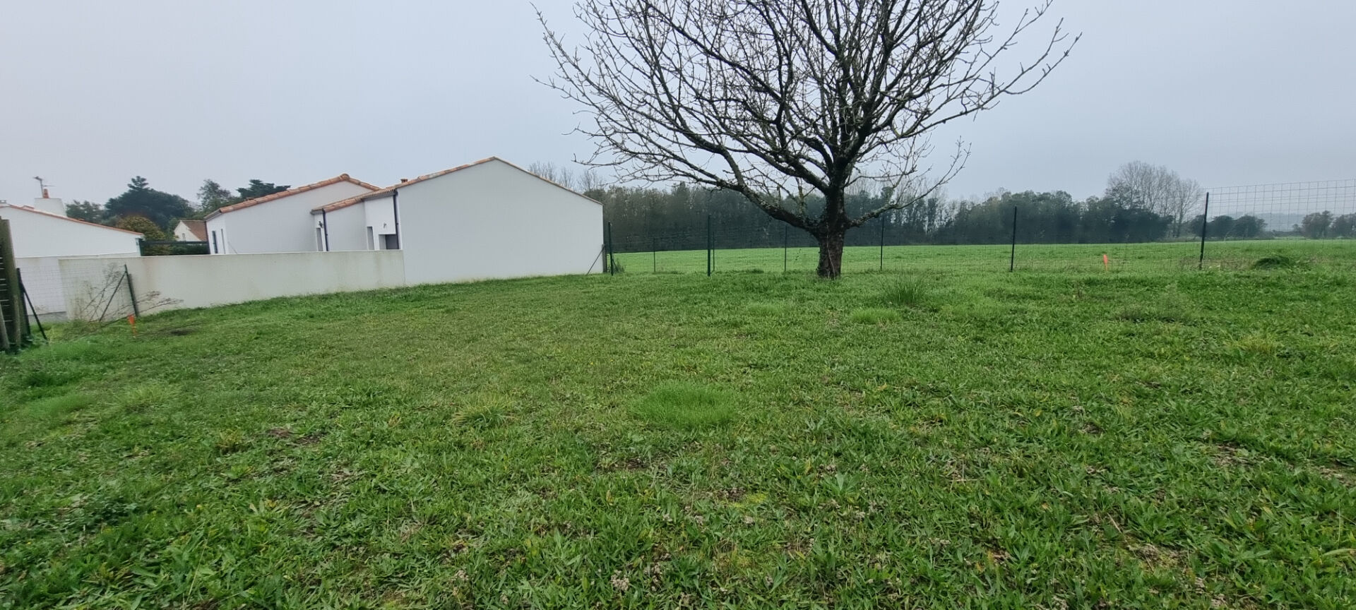 Terrain LE FENOUILLER (85800) 330.00 m²