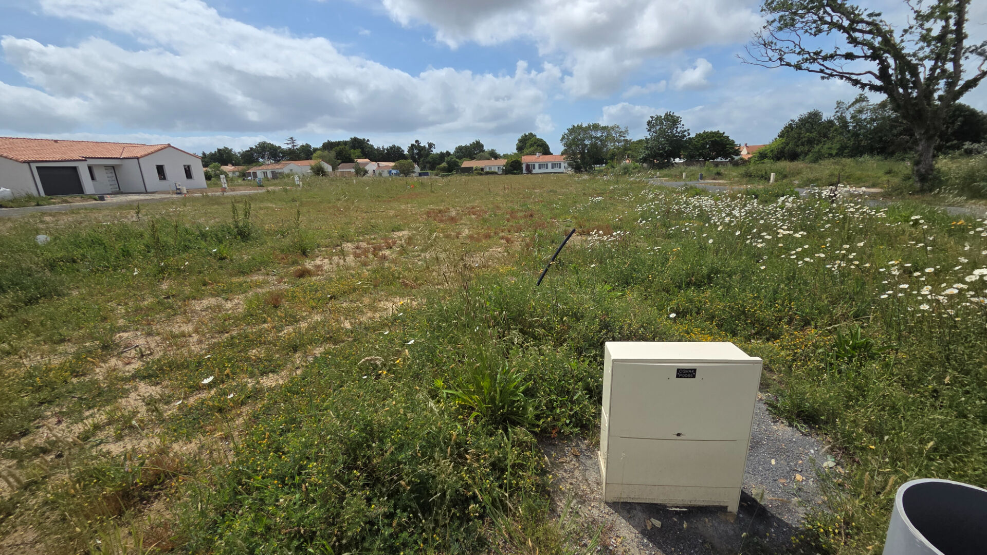Terrain LE FENOUILLER (85800) 369.00 m&sup2;