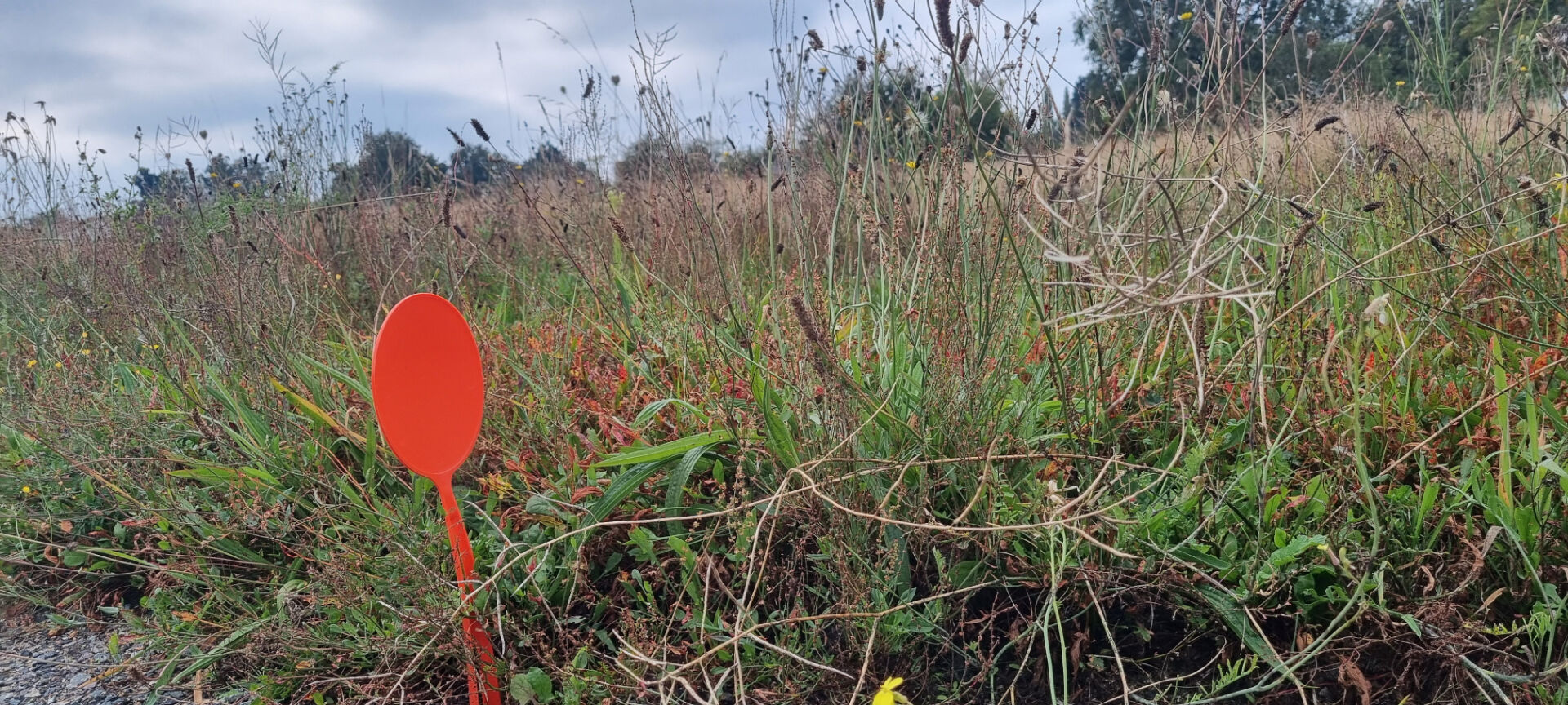 Terrain LE FENOUILLER (85800) 358.00 m&sup2;