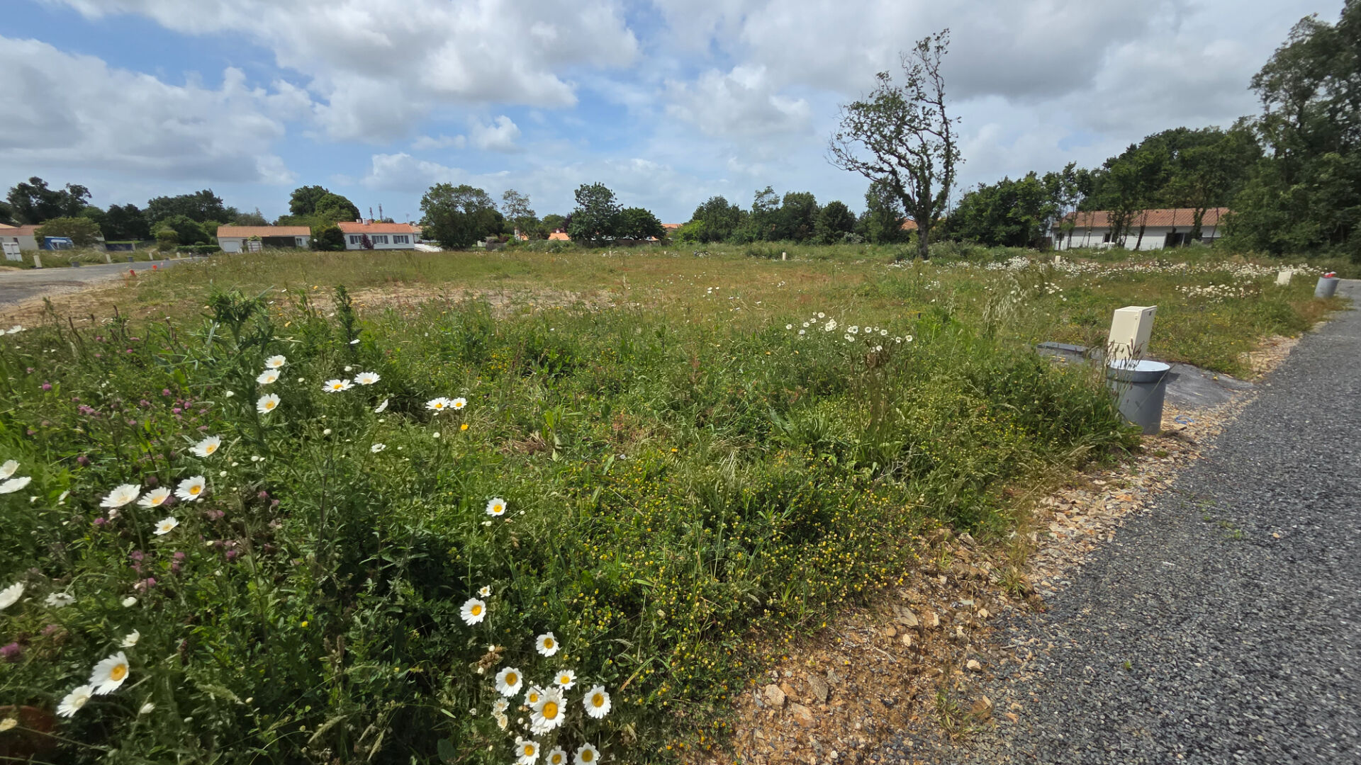 Terrain LE FENOUILLER (85800) 363.00 m&sup2;
