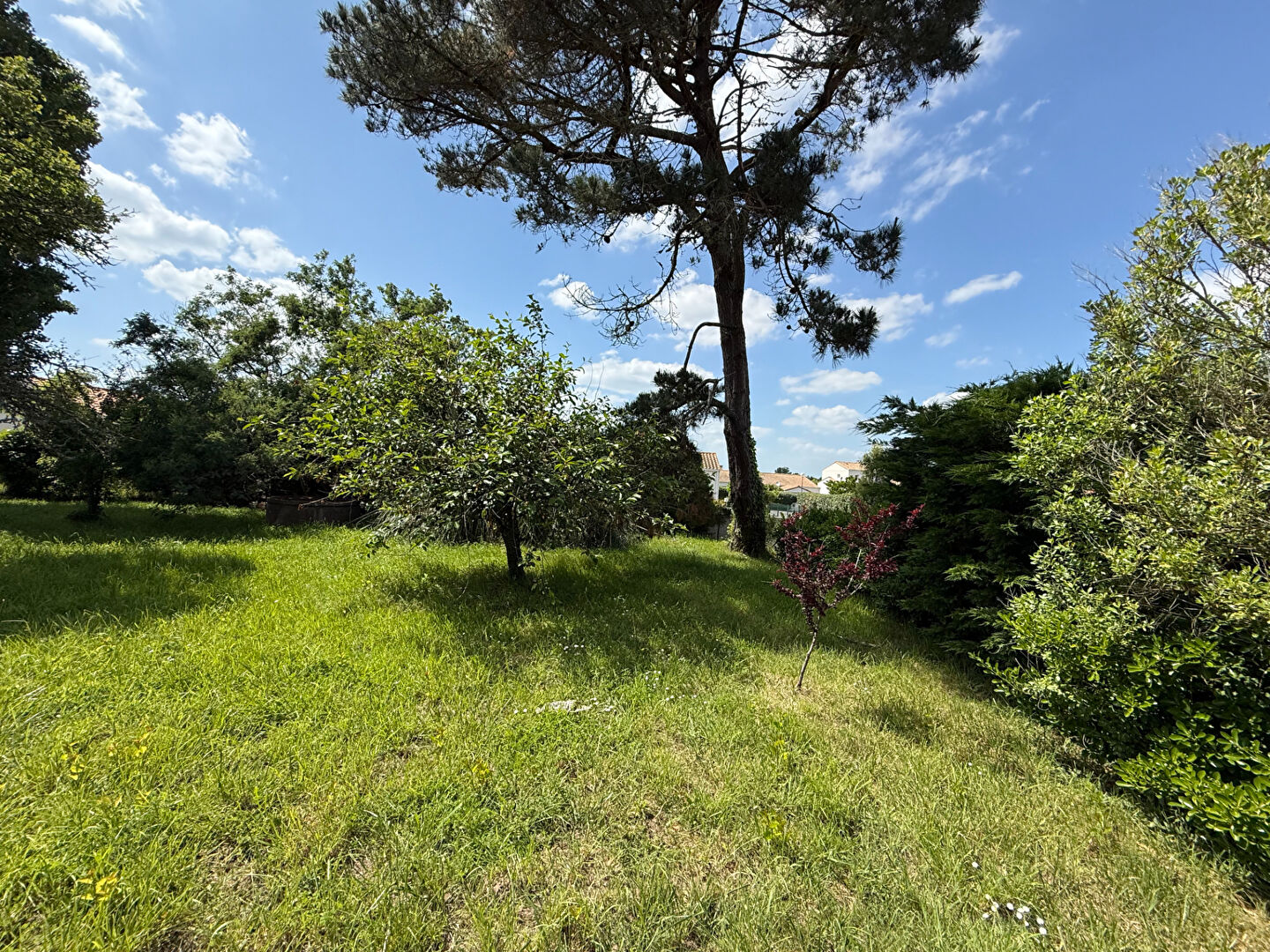 Terrain GIVRAND (85800) 380.00 m²