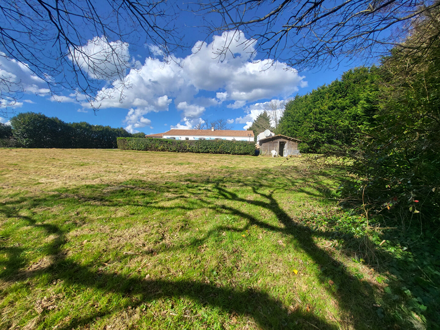 Terrain APREMONT (85220) 621.00 m²