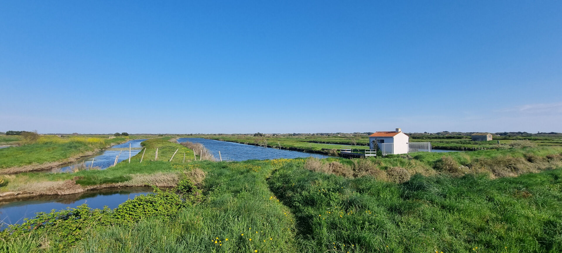 Terrain SAINT HILAIRE DE RIEZ (85270) 21385.00 m²