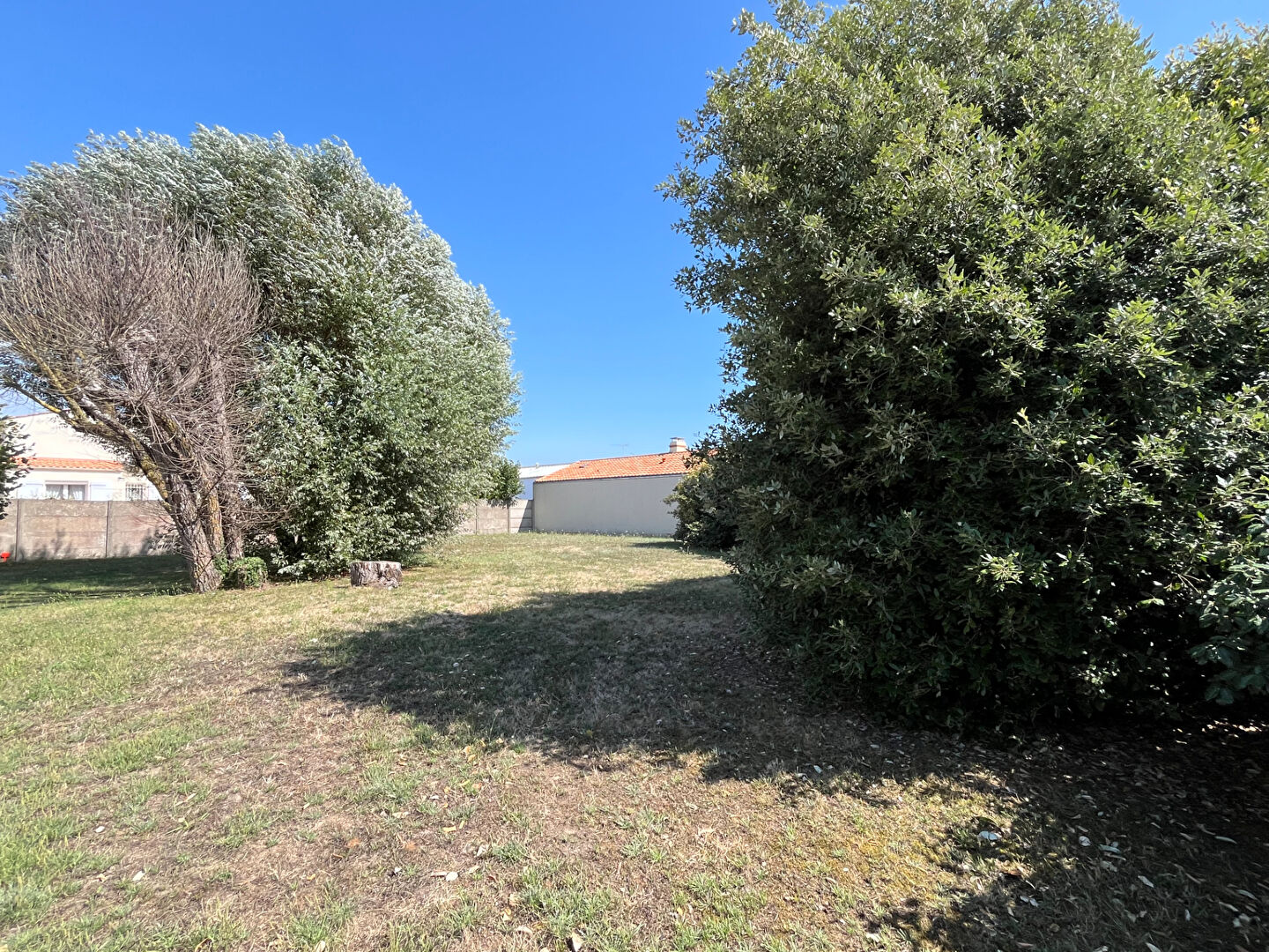 Terrain SAINT HILAIRE DE RIEZ (85270) 564.00 m²