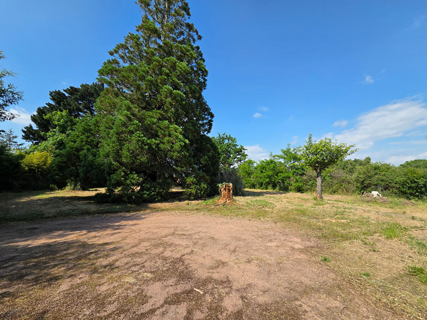 Terrain SAINT PAUL MONT PENIT (85670) 2016.00 m²