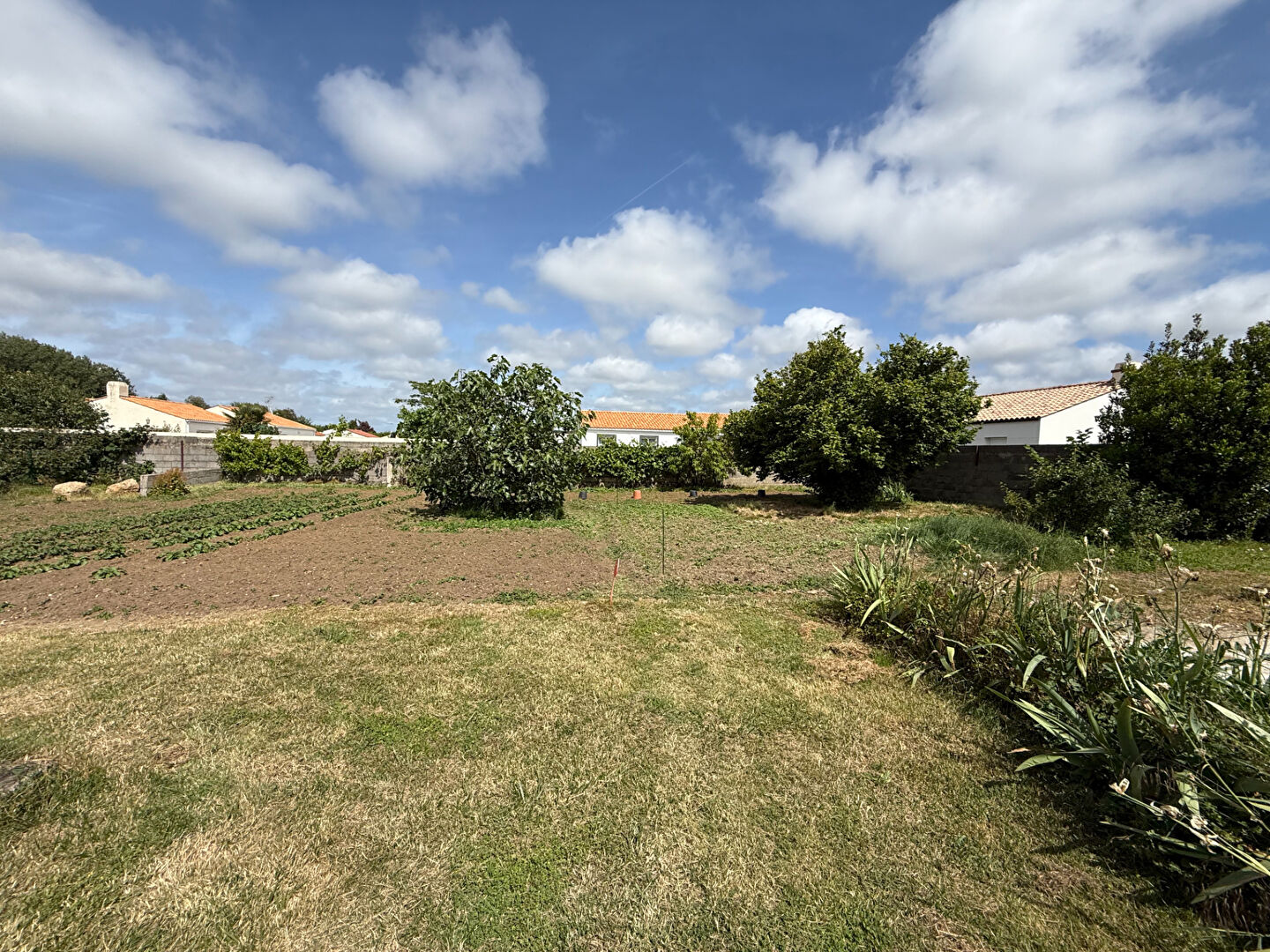 Terrain COMMEQUIERS (85220) 1269.00 m²