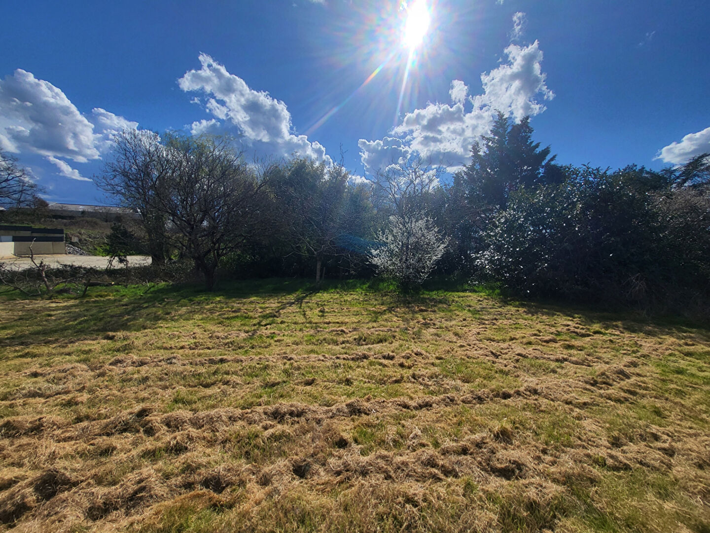 Terrain APREMONT (85220) 1350.00 m²