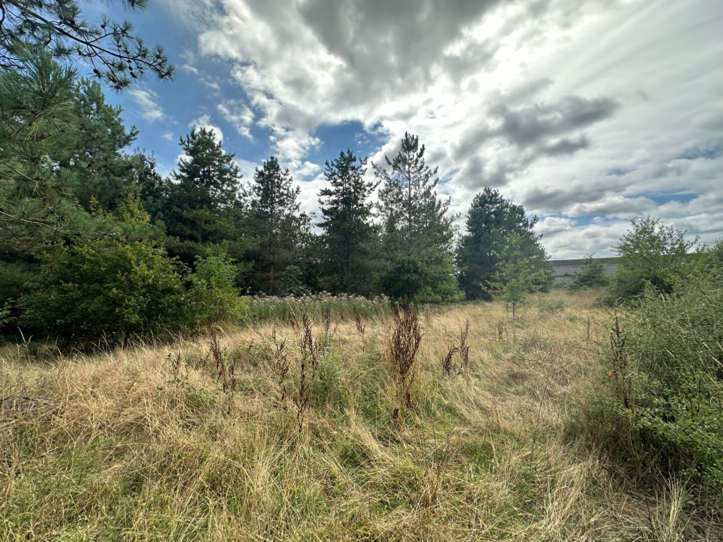 Terrain MACHE (85190) 3000.00 m²