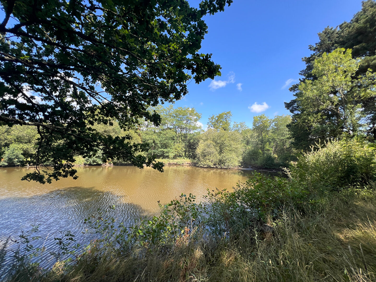 Etang BEAULIEU SOUS LA ROCHE (85190)