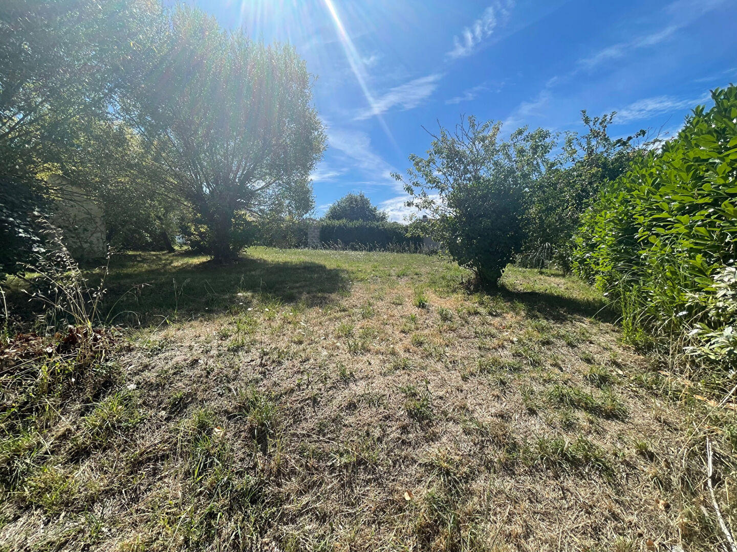 Terrain SAINT HILAIRE DE RIEZ (85270) 366.00 m²