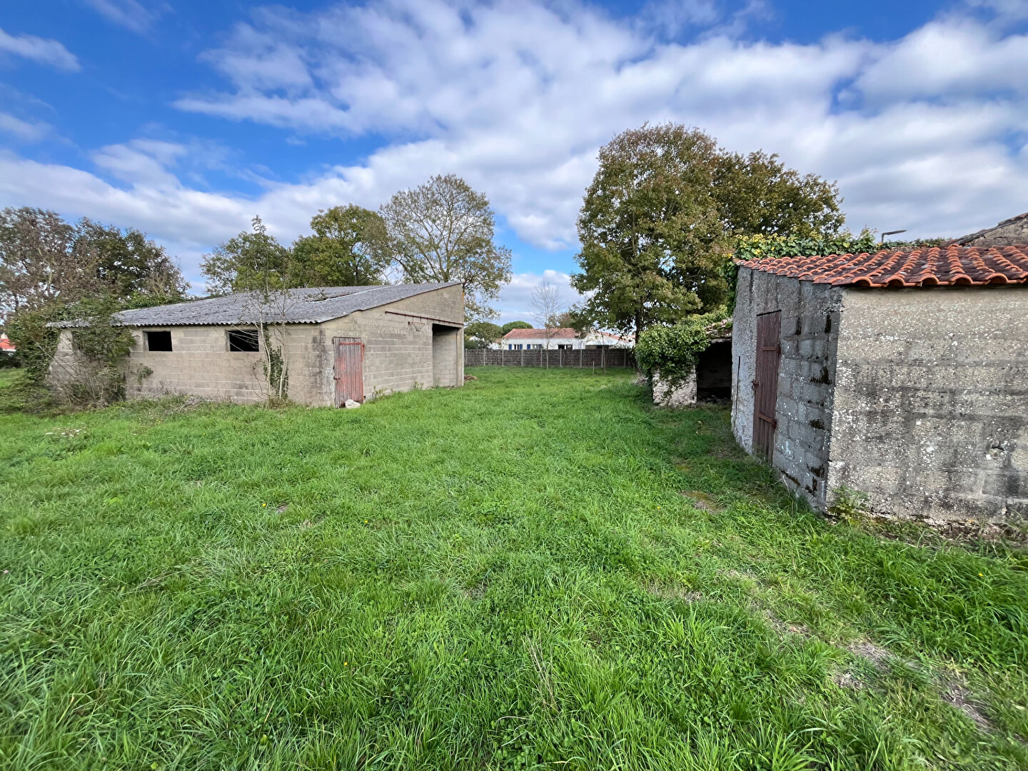 Terrain COMMEQUIERS (85220) 870.00 m²