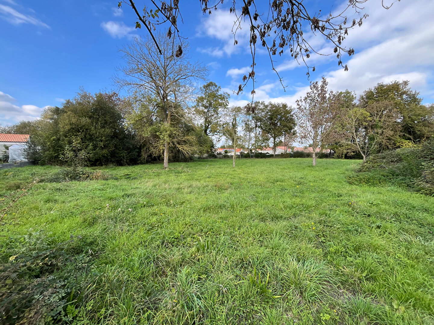Terrain COMMEQUIERS (85220) 2275.00 m²