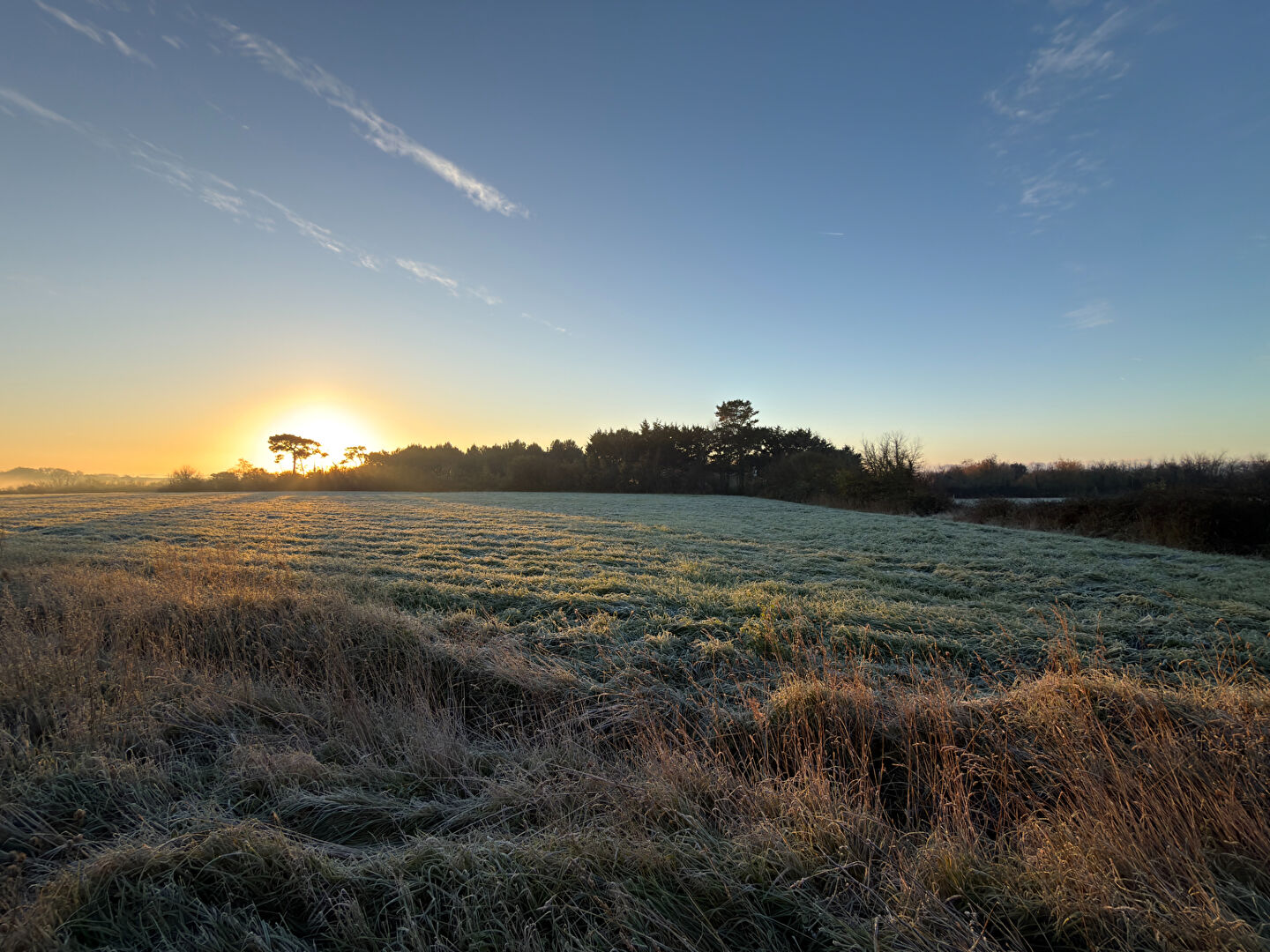 Terrain GIVRAND (85800) 329.00 m²