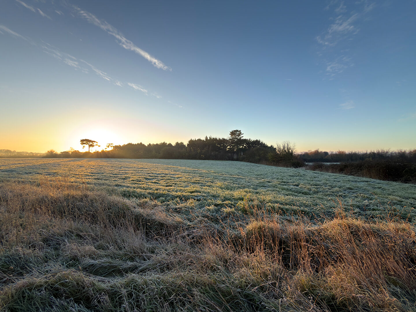 Terrain GIVRAND (85800) 302.00 m²