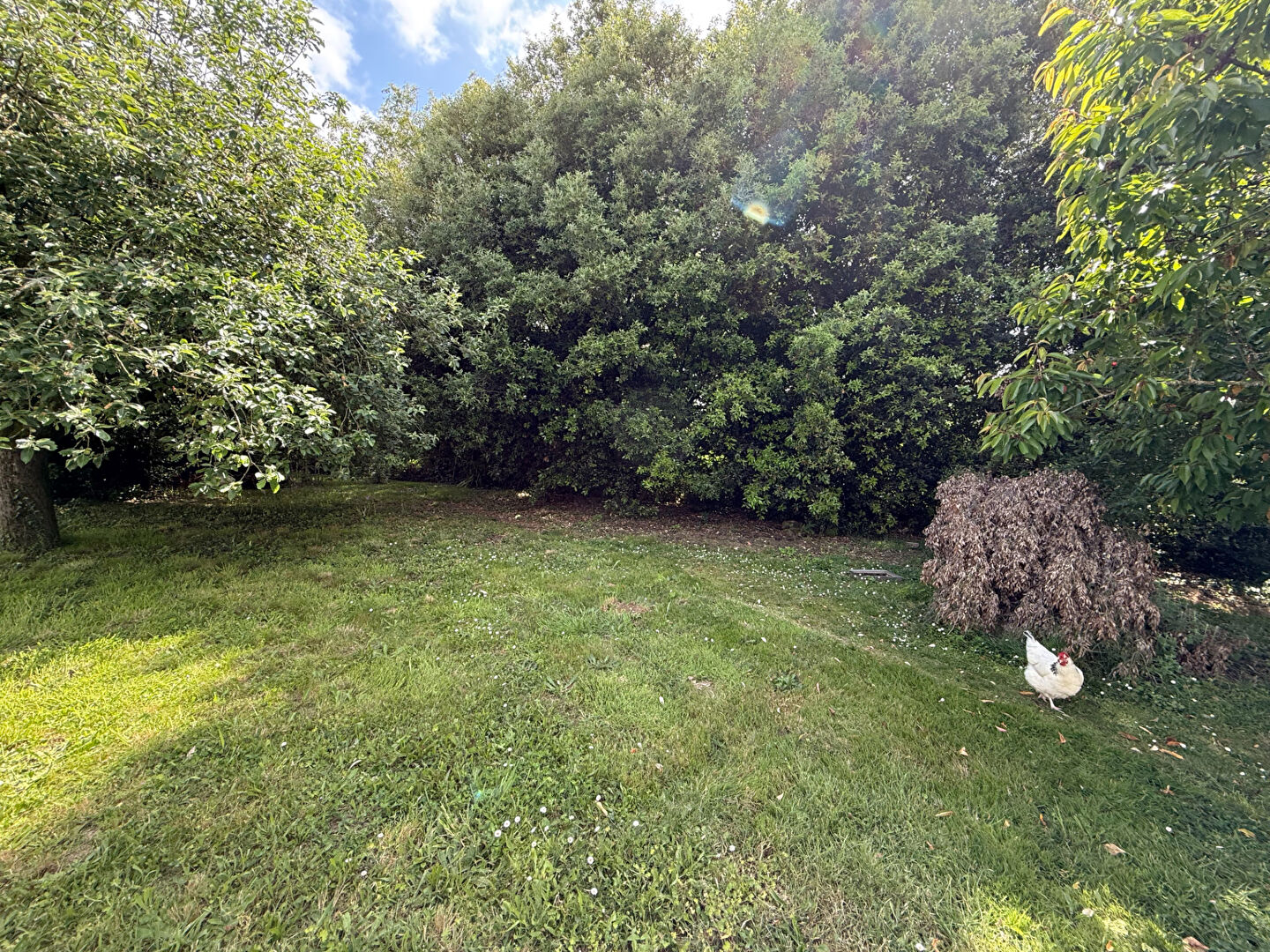 Vente terrain, 594.00m², Commequiers · 79 000 €