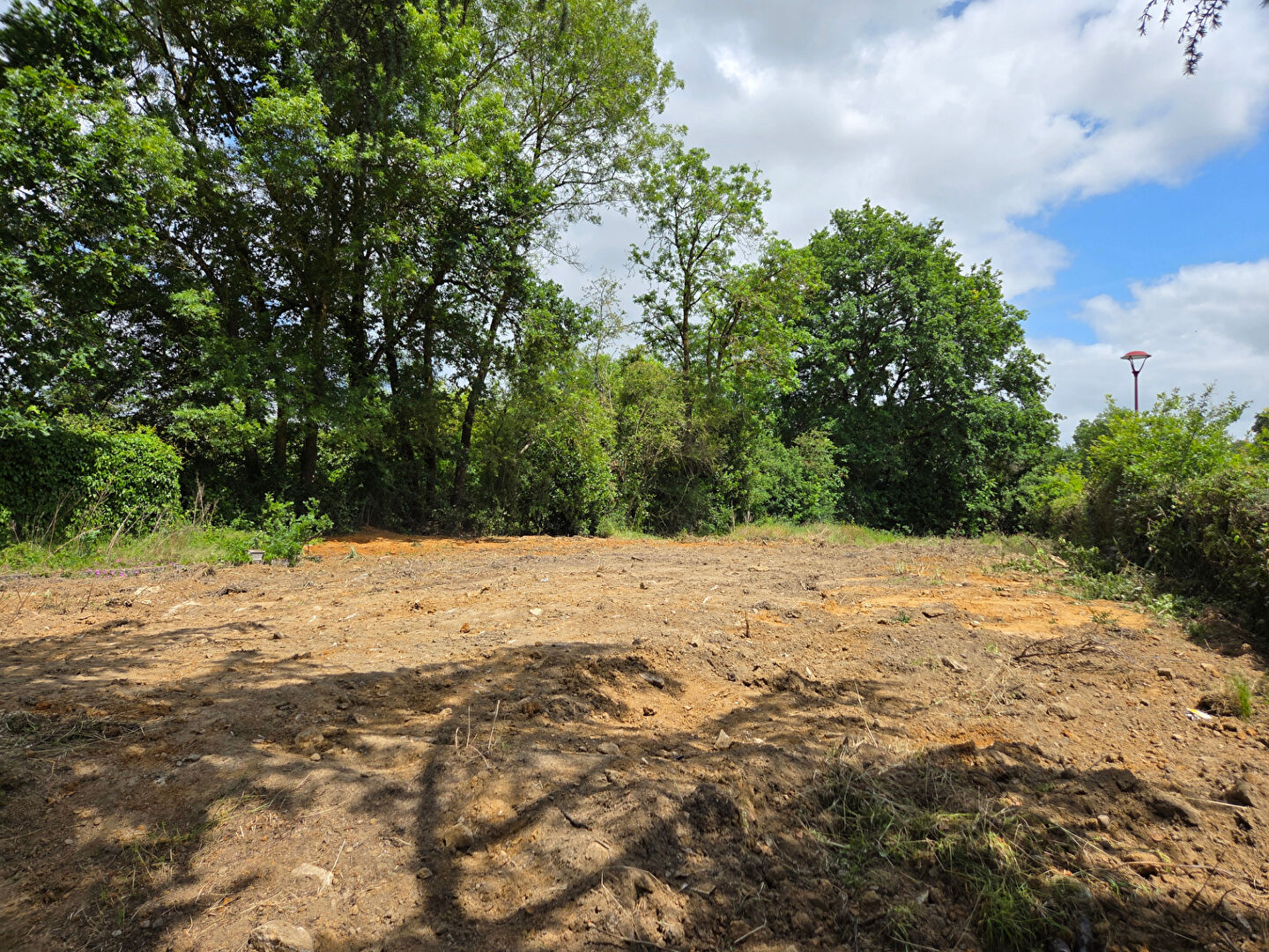 Terrain PALLUAU (85670) 664.00 m&sup2;