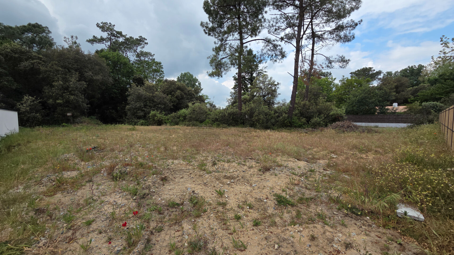 Terrain SAINT HILAIRE DE RIEZ (85270) 762.00 m&sup2;