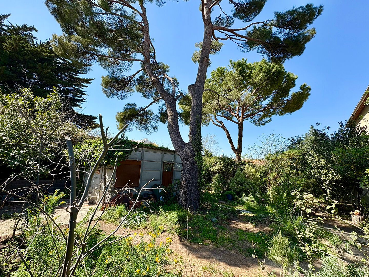 Terrain SETE (34200) 330.00 m²