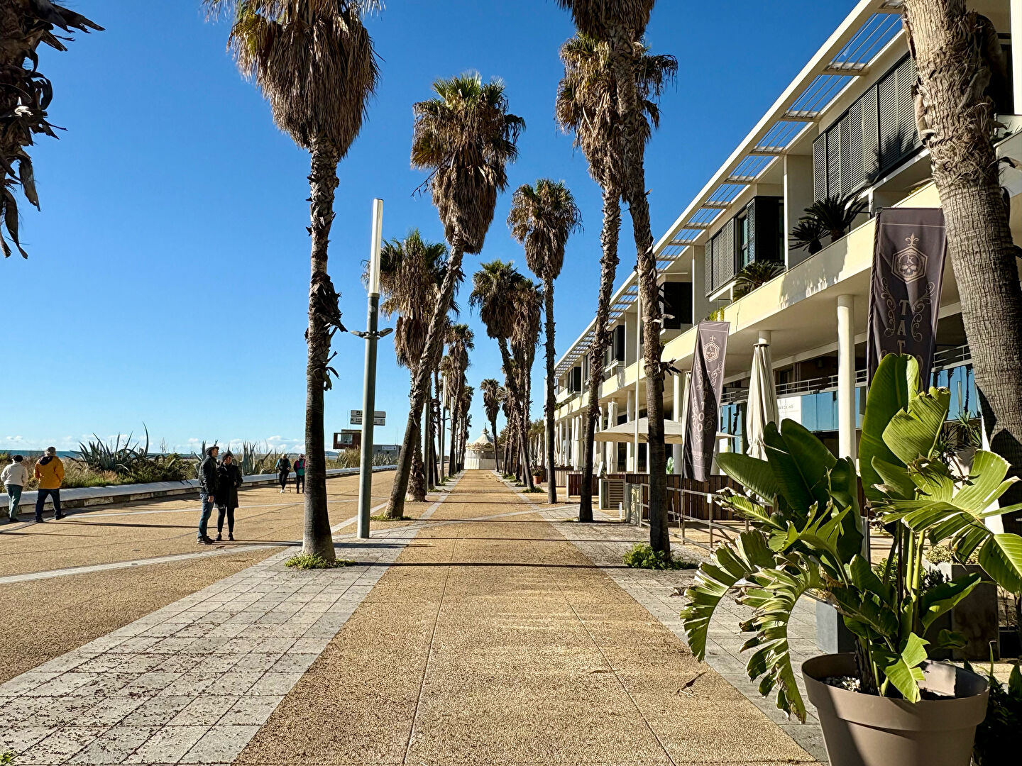 Murs SETE (34200) 5 pièces 109.30 m²