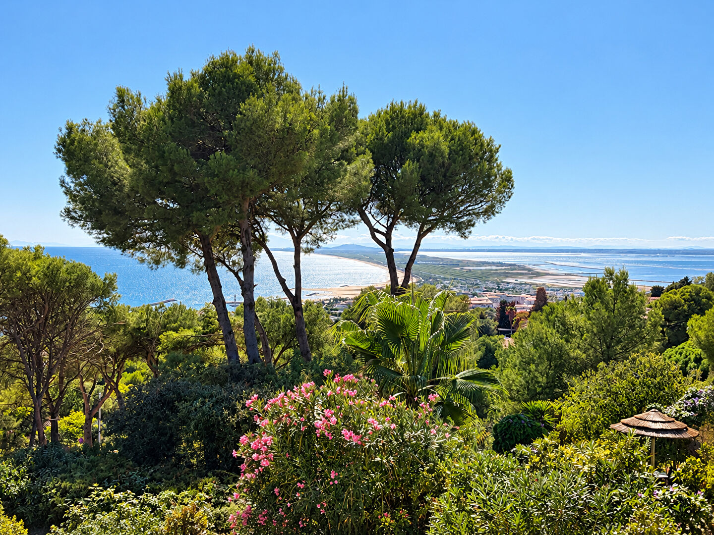 Maison SETE (34200) 8 pi&egrave;ces 275.00 m&sup2;