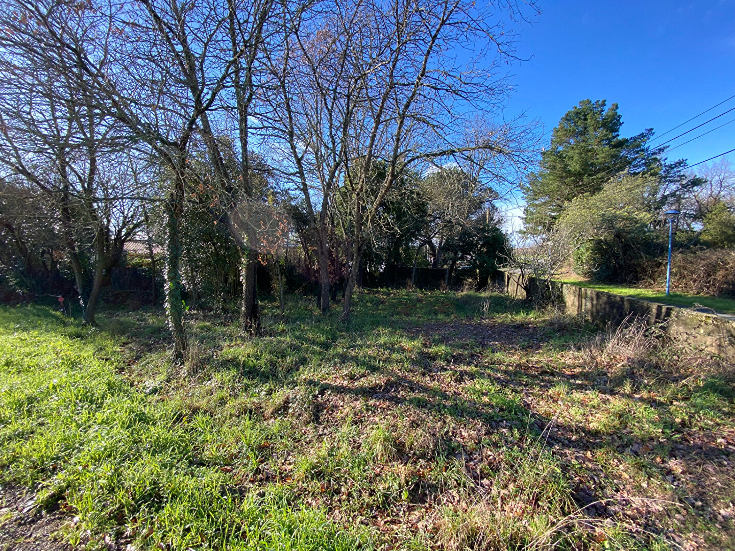 Terrain BRETIGNOLLES SUR MER (85470) 262.00 m²