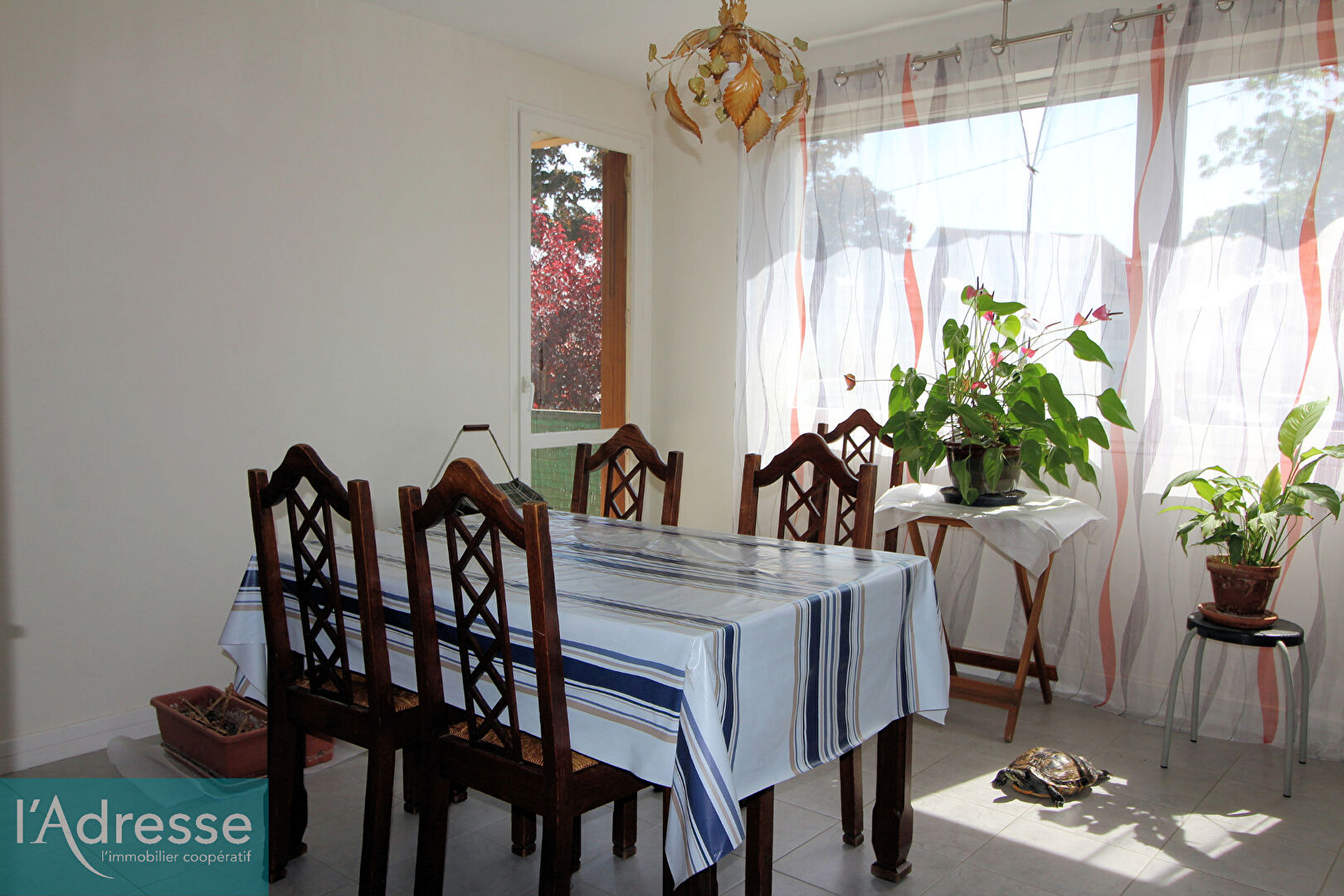 Appartement RIS ORANGIS (91130) 3 pièces 52.89 m²